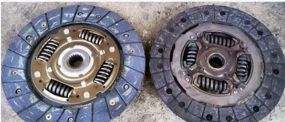 info-565-242 info-565-242